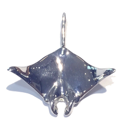Devil Ray or Manta Ray