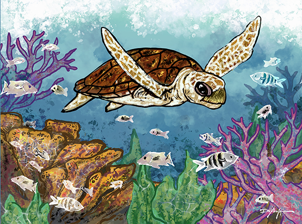 Turtle Reef Fine Art Canvas Print 18" x 24"