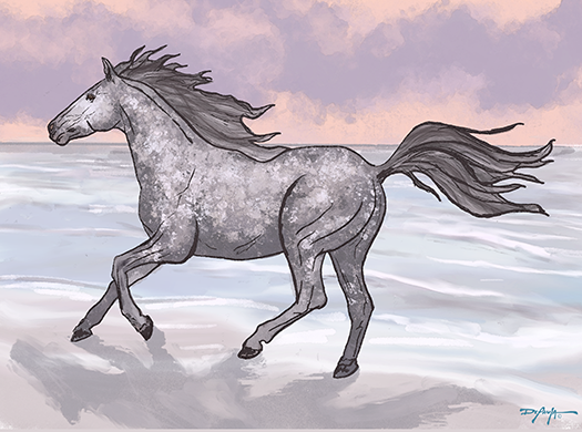 Corolla Wild Beach Horse Fine Art Canvas 18" x 24"