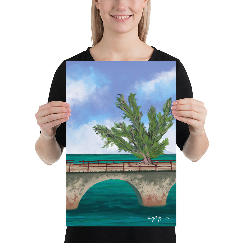 Fred the Tree Old 7 Mile Bridge Fine Art Print 12" x 18"