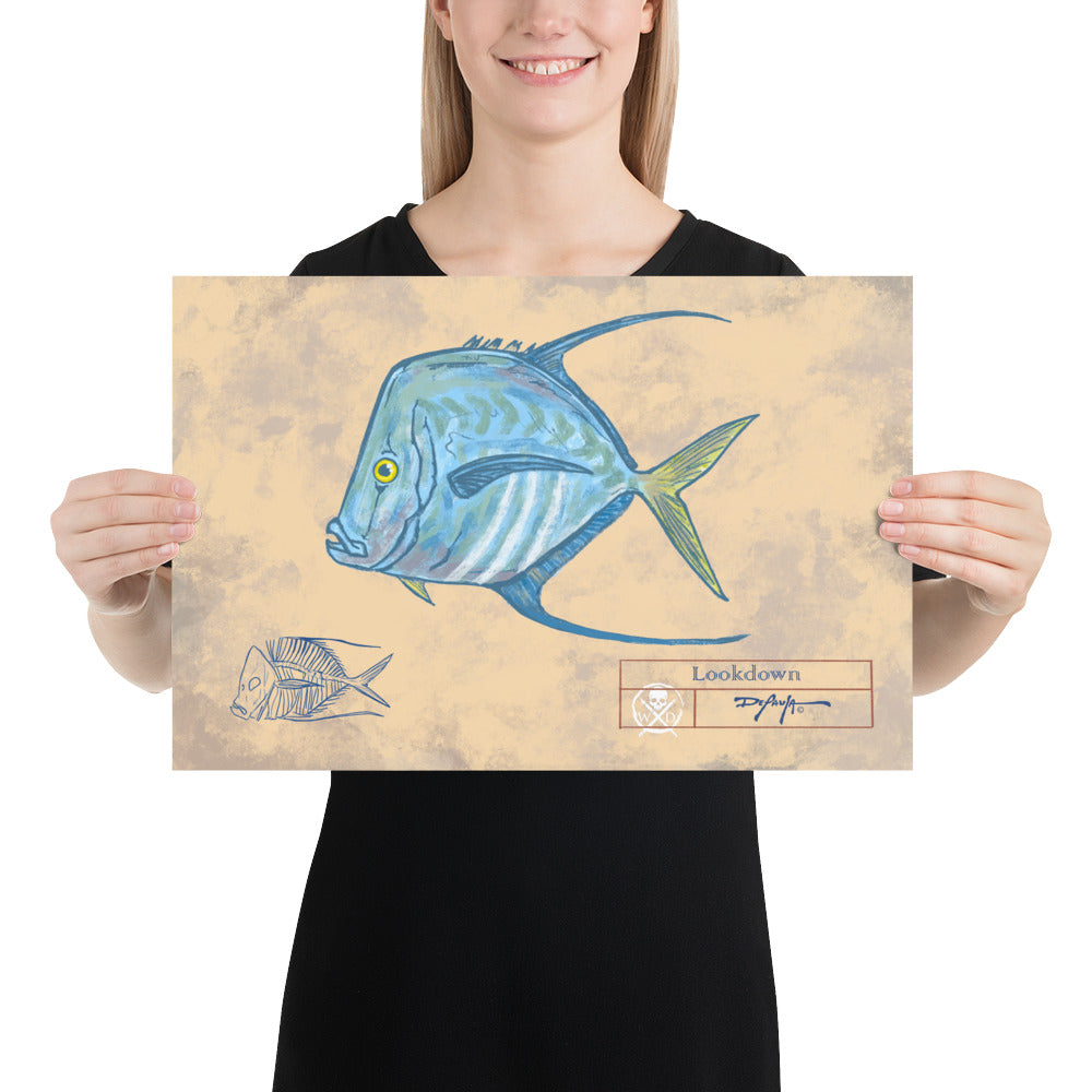 Naturalist Lookdown Fish Fine Art Print 12" x 18"