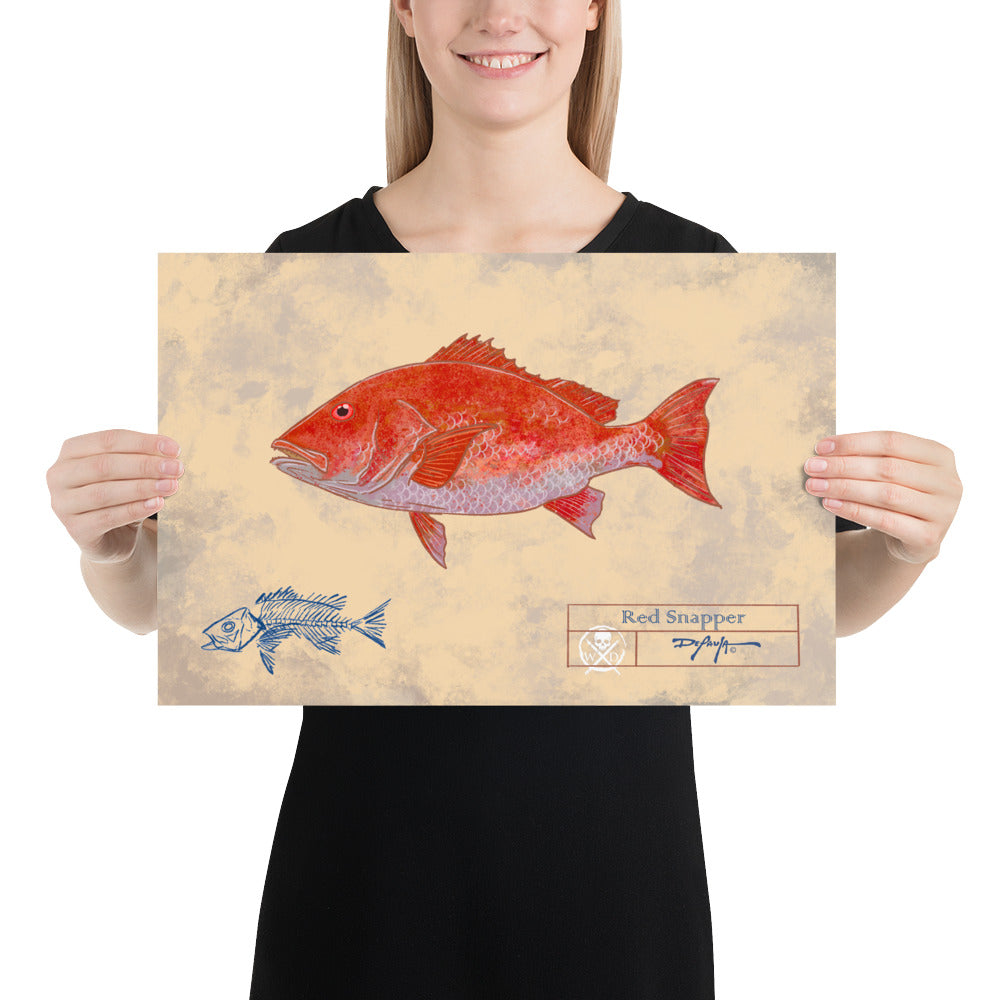 Naturalist Red Snapper Fine Art Print 12" x 18"