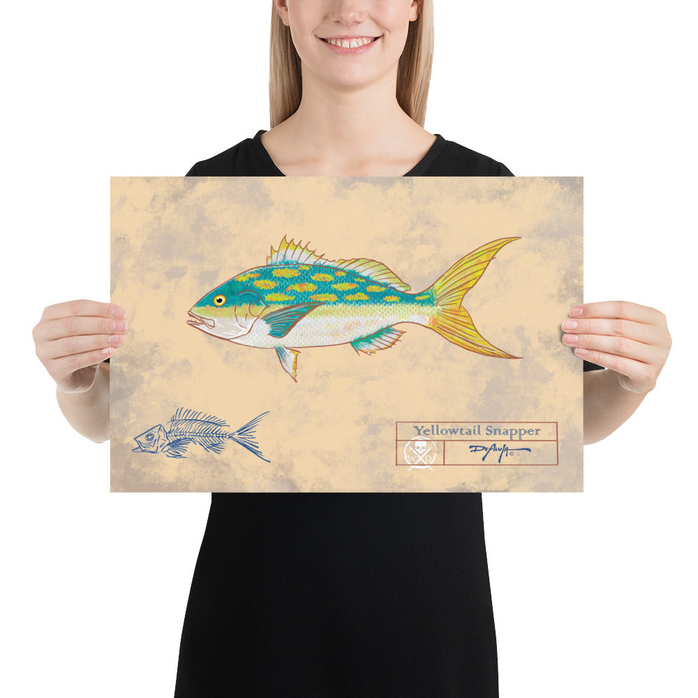 Naturalist Yellowtail Snapper Fine Art Print 12" x 18"