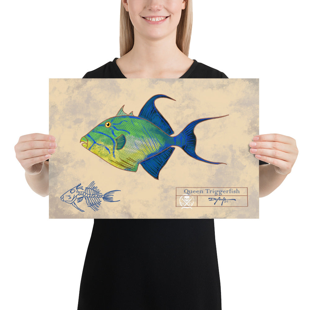 A person holding a fine art print of a Queen Triggerfish, with a beige background and scientific illustration details.