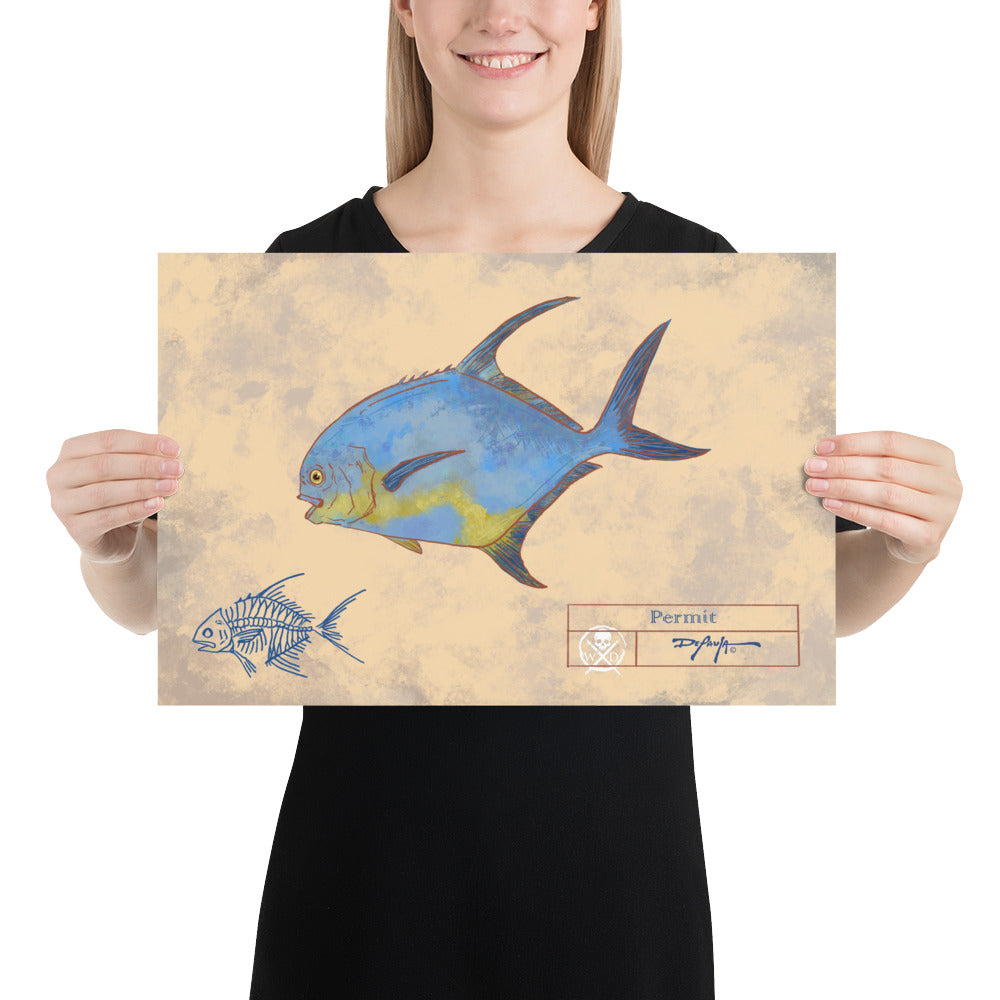 Naturalist Permit Fish Fine Art Print 12" x 18"
