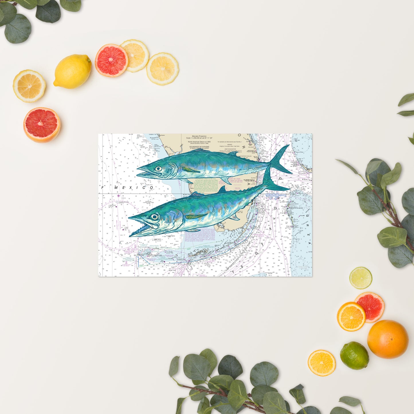 Kingfish Nautical Chart Fine Art Print 12" x 18"