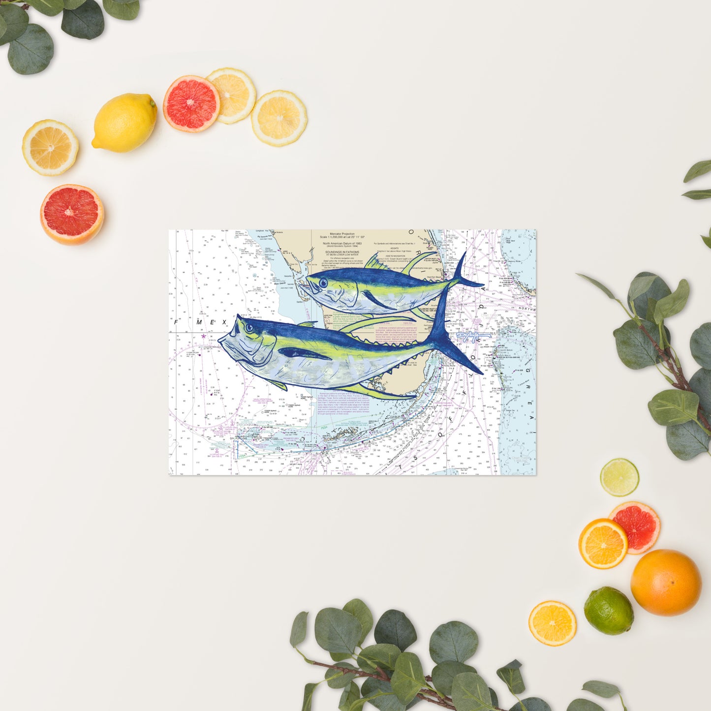 Yellowfin Tuna Nautical Chart Series Fine Art Print 12" x 18"