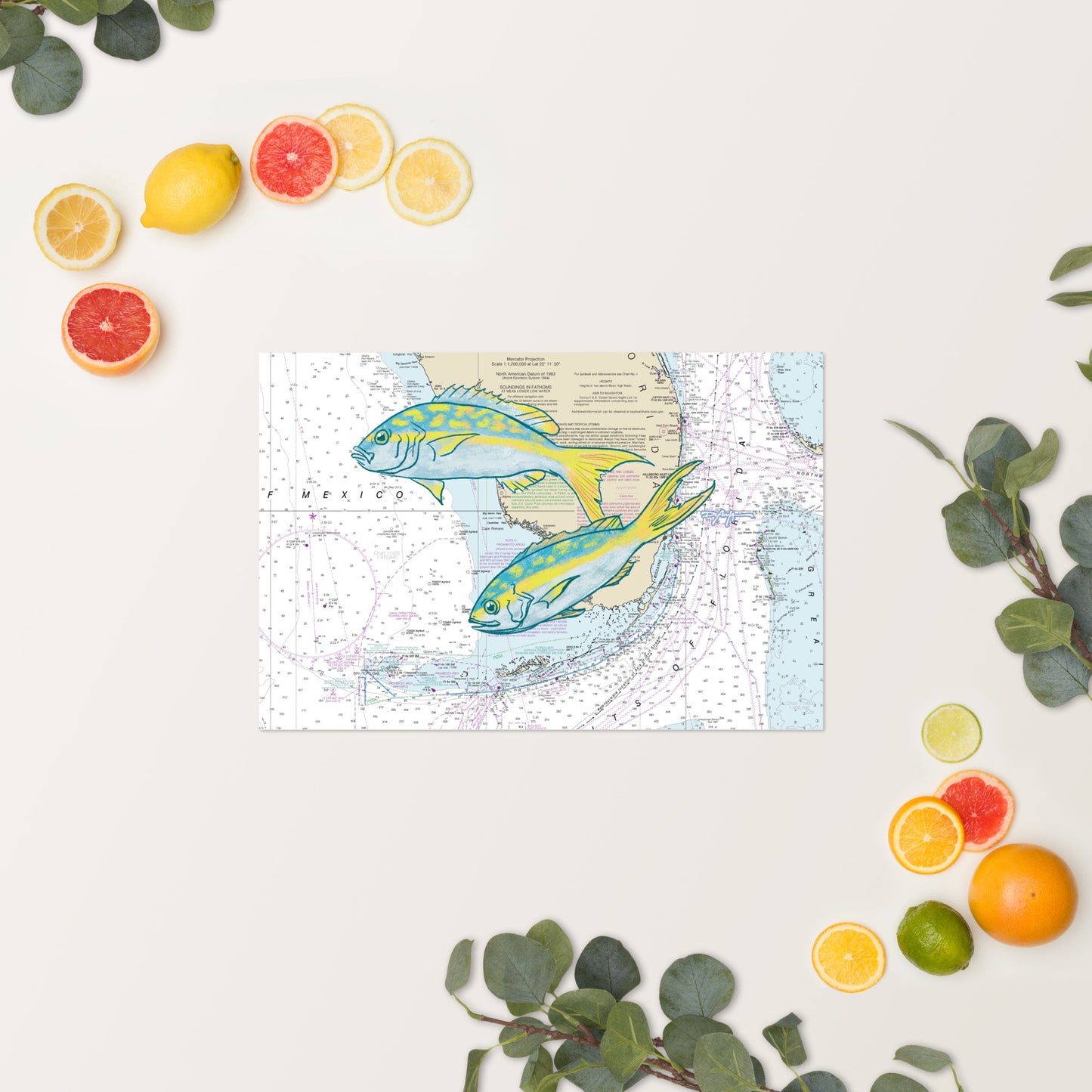 Yellowtail Snapper Nautical Chart Fine Art Print 12" x 18"