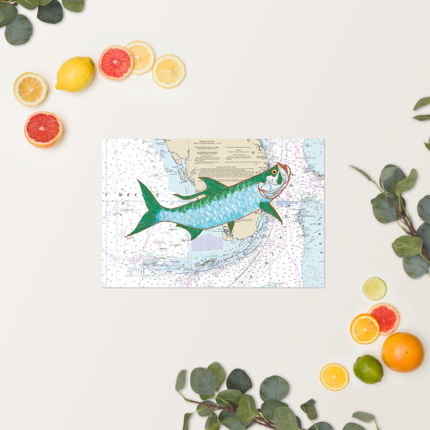 Tarpon Nautical Chart Fine Art Print 12" x 18"