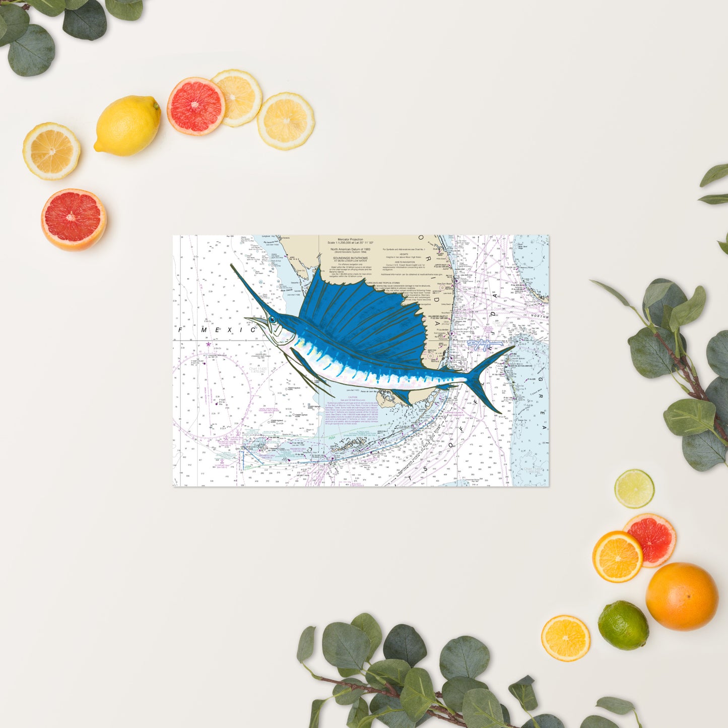 Sailfish Nautical Chart Fine Art Print 12" x 18"