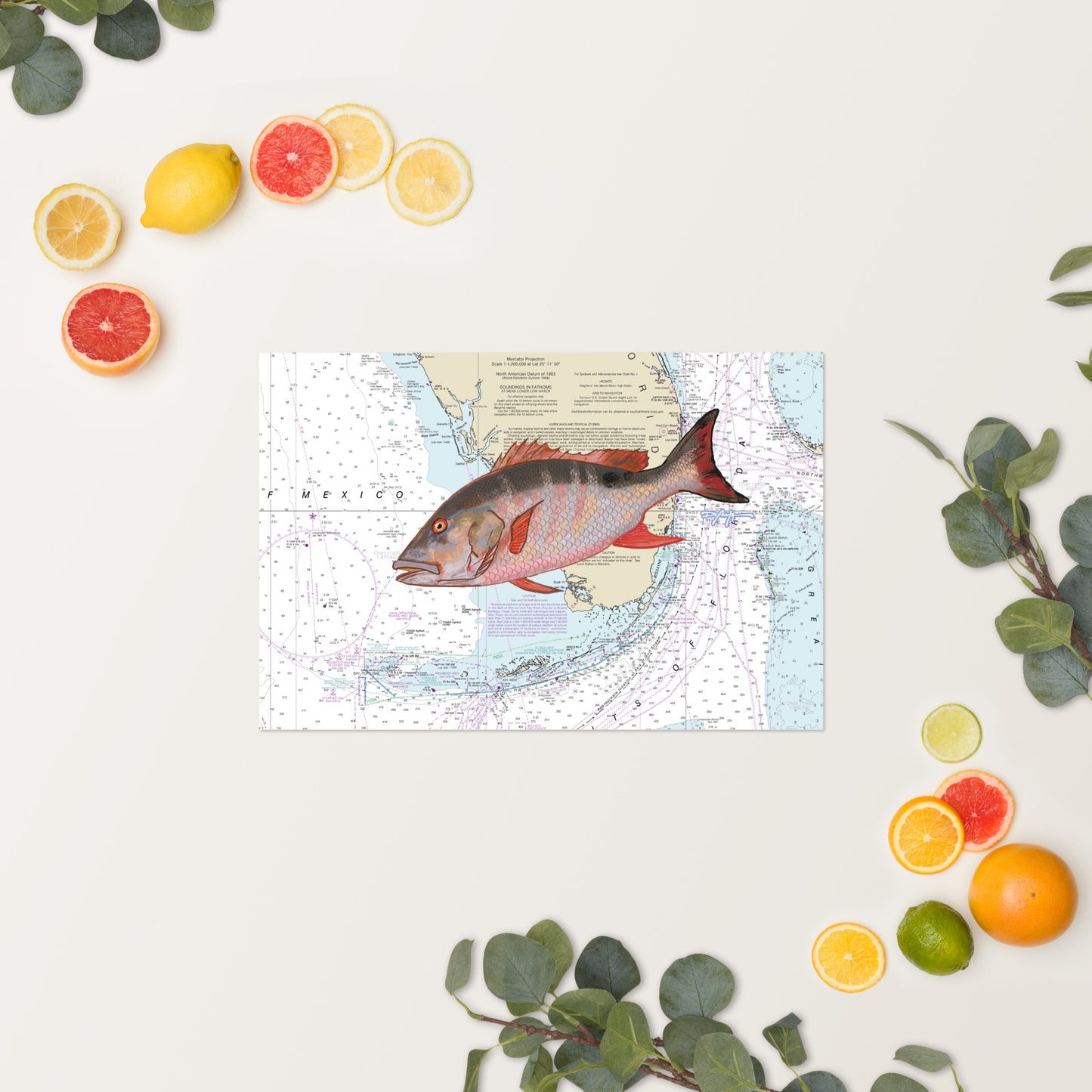 Mutton Snapper Nautical Chart Fine Art Print 12" x 18"
