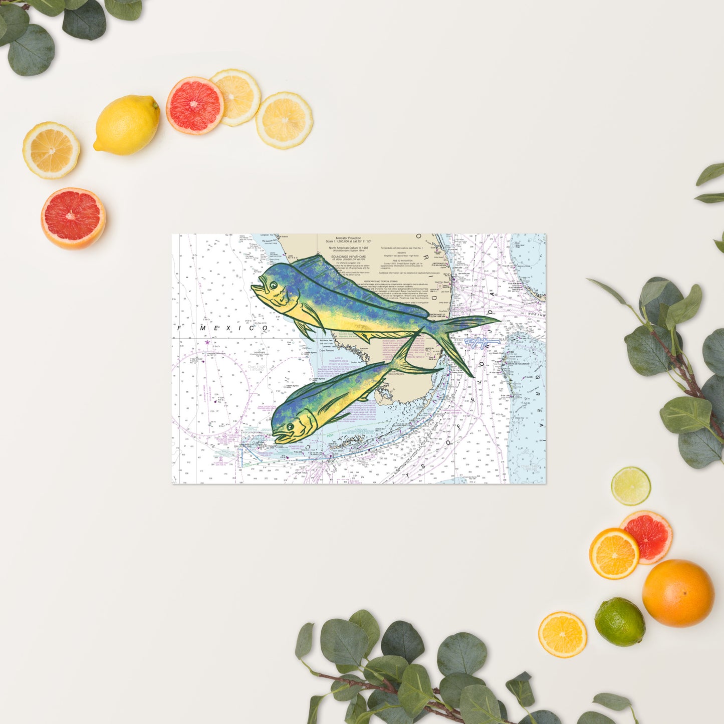 Mahi Mahi Nautical Chart Fine Art Print 12" x 18"