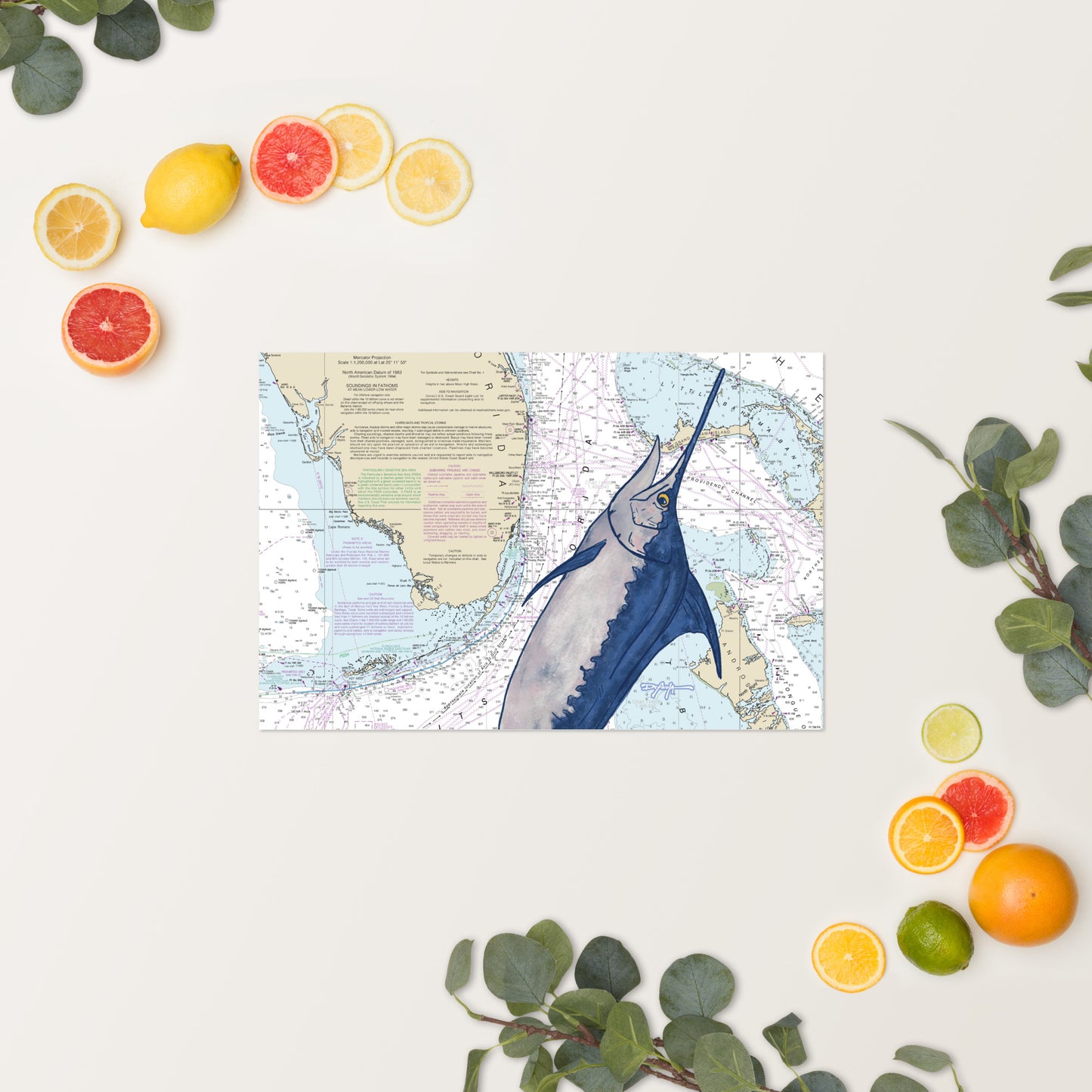 Blue Marlin Nautical Chart Fine Art Print 12" x 18"