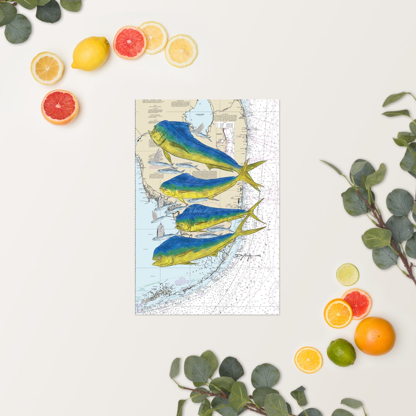 Mahi and Flying Fish Nautical Chart Fine Art Print 12" x 18"