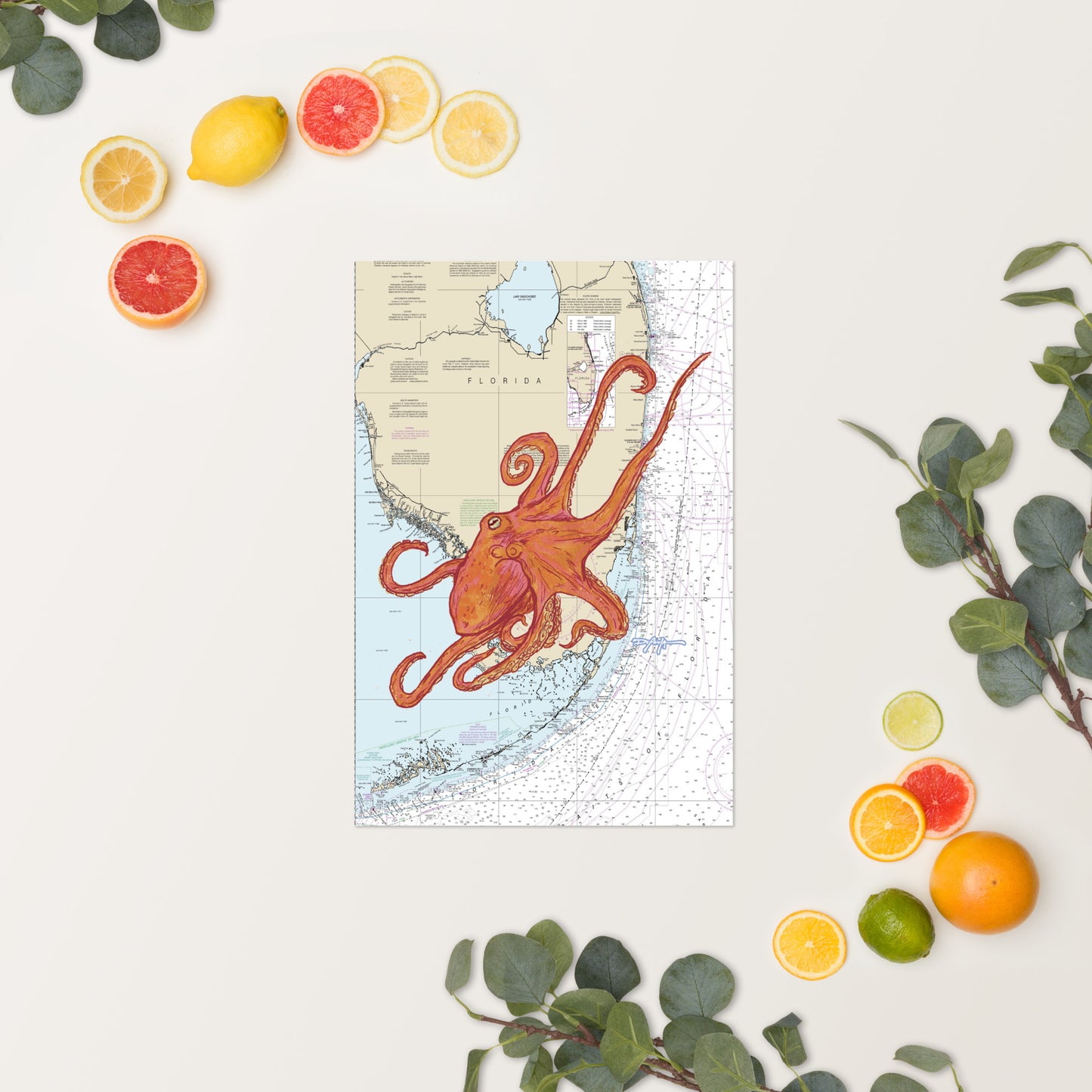 Octopus Nautical Chart Fine Art Print 12" x 18"