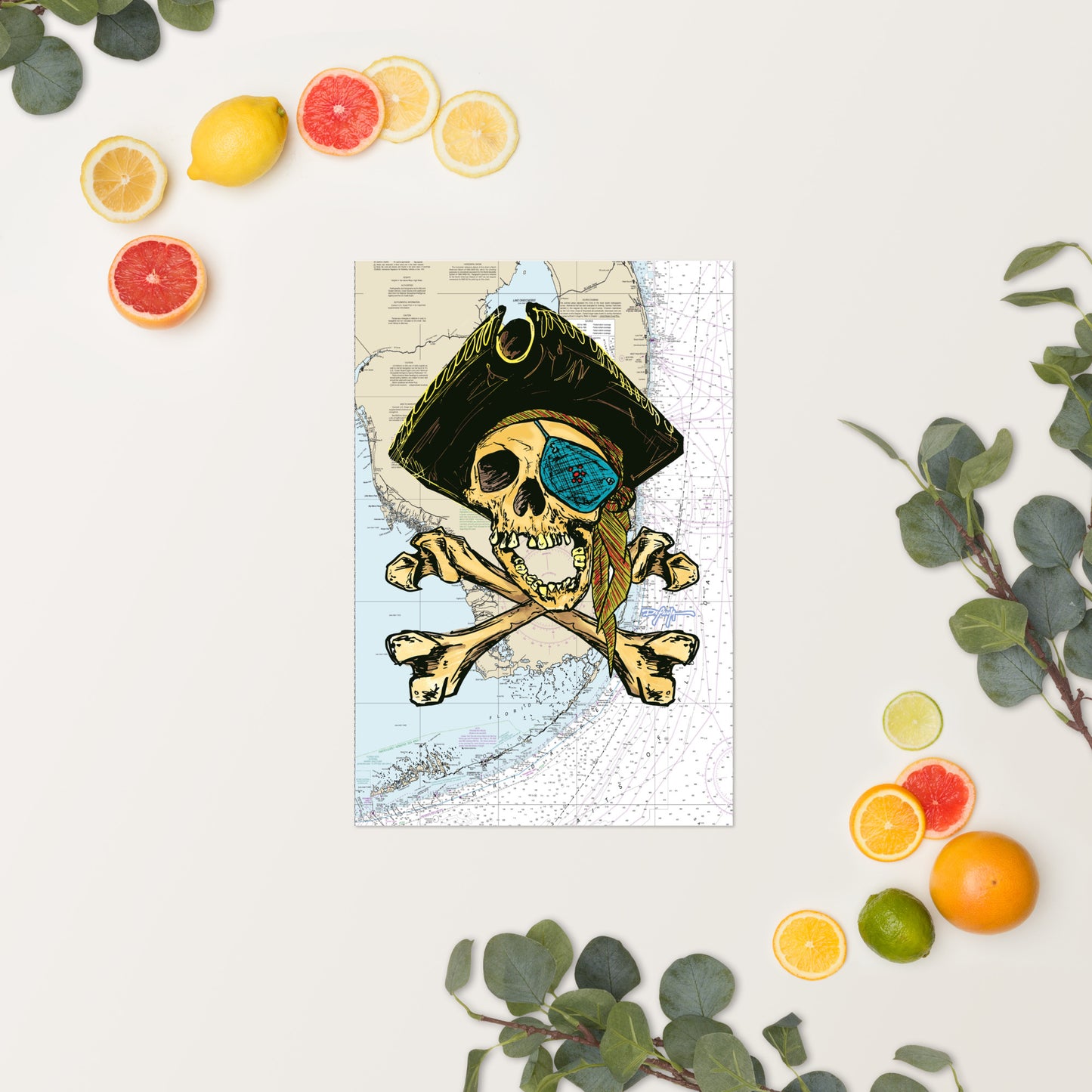 Pirate Skull Nautical Chart Fine Art Print 12" x 18"
