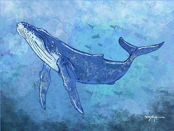 Sea Life Impression Humpback Whale Fine Art Canvas Print 18" x 24"