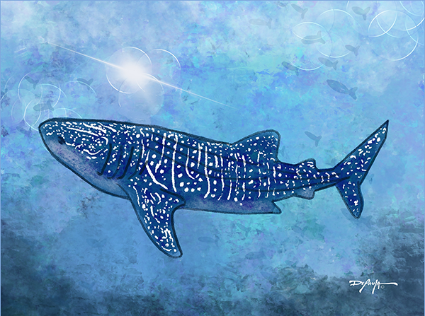 Sea Life Impression Whale Shark Fine Art Canvas Print 18" x 24"
