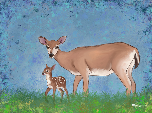 Key Deer Fine Art Canvas Print 18" x 24"