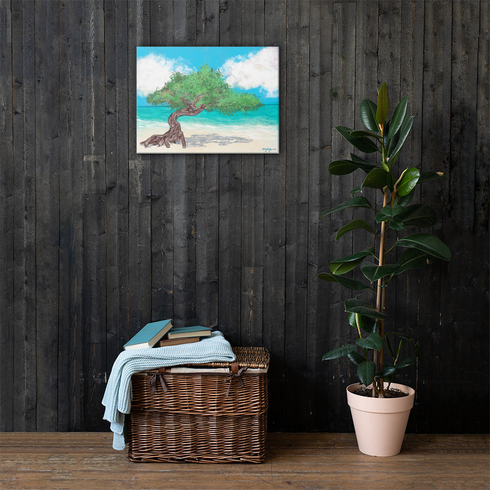 Aruba's Fofoti Tree on the Beach Fine Art Canvas 18 x 24"