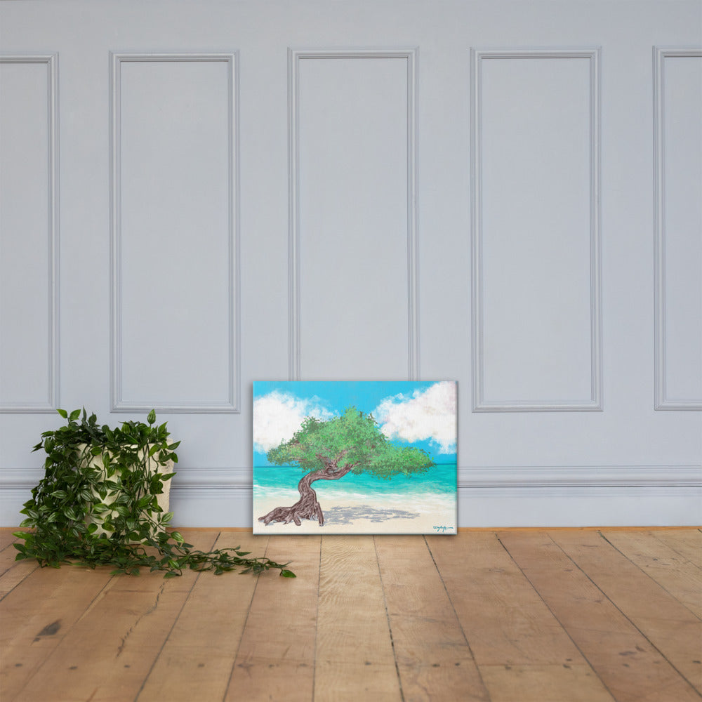 Aruba's Fofoti Tree on the Beach Fine Art Canvas 18 x 24"