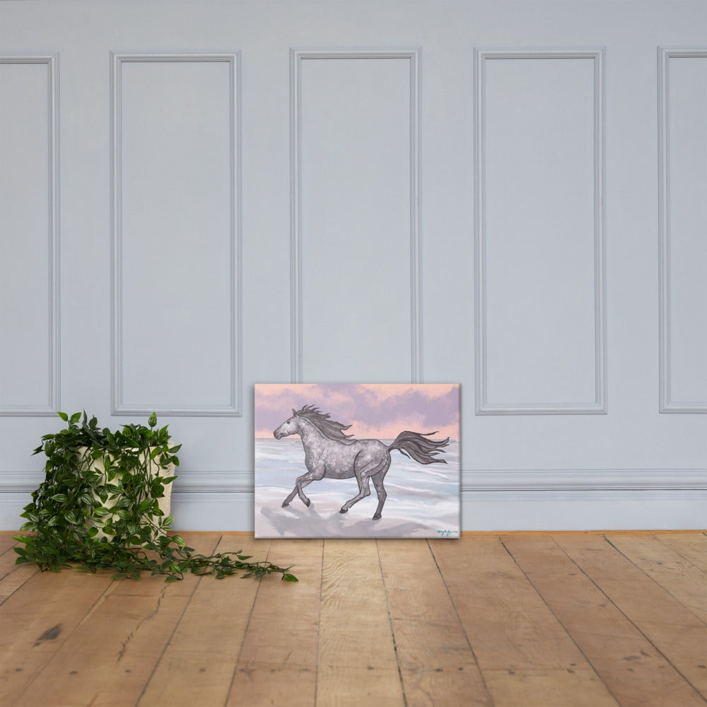 Corolla Wild Beach Horse Fine Art Canvas 18" x 24"