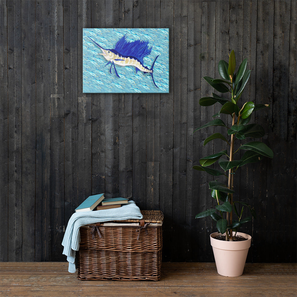 Sailfish in front of a Bait ball Fine Fish Art Canvas Print 18" x 24"