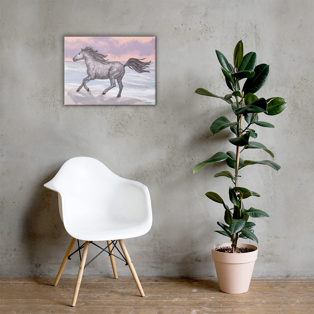 Corolla Wild Beach Horse Fine Art Canvas 18" x 24"