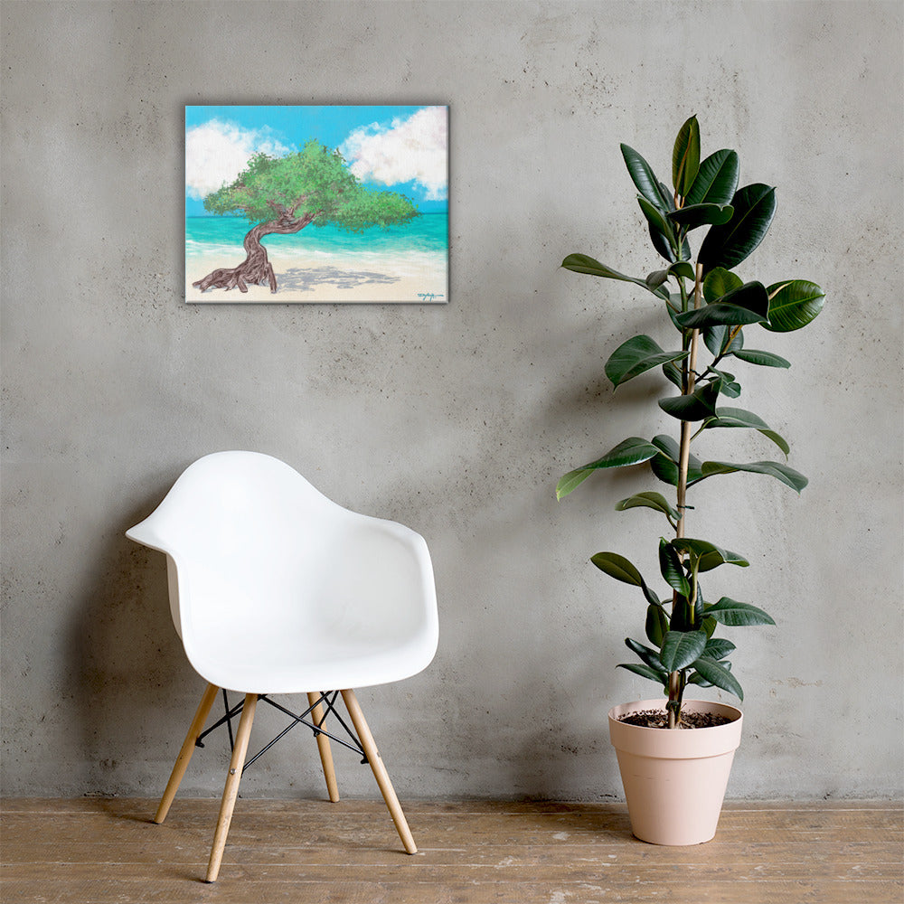 Aruba's Fofoti Tree on the Beach Fine Art Canvas 18 x 24"