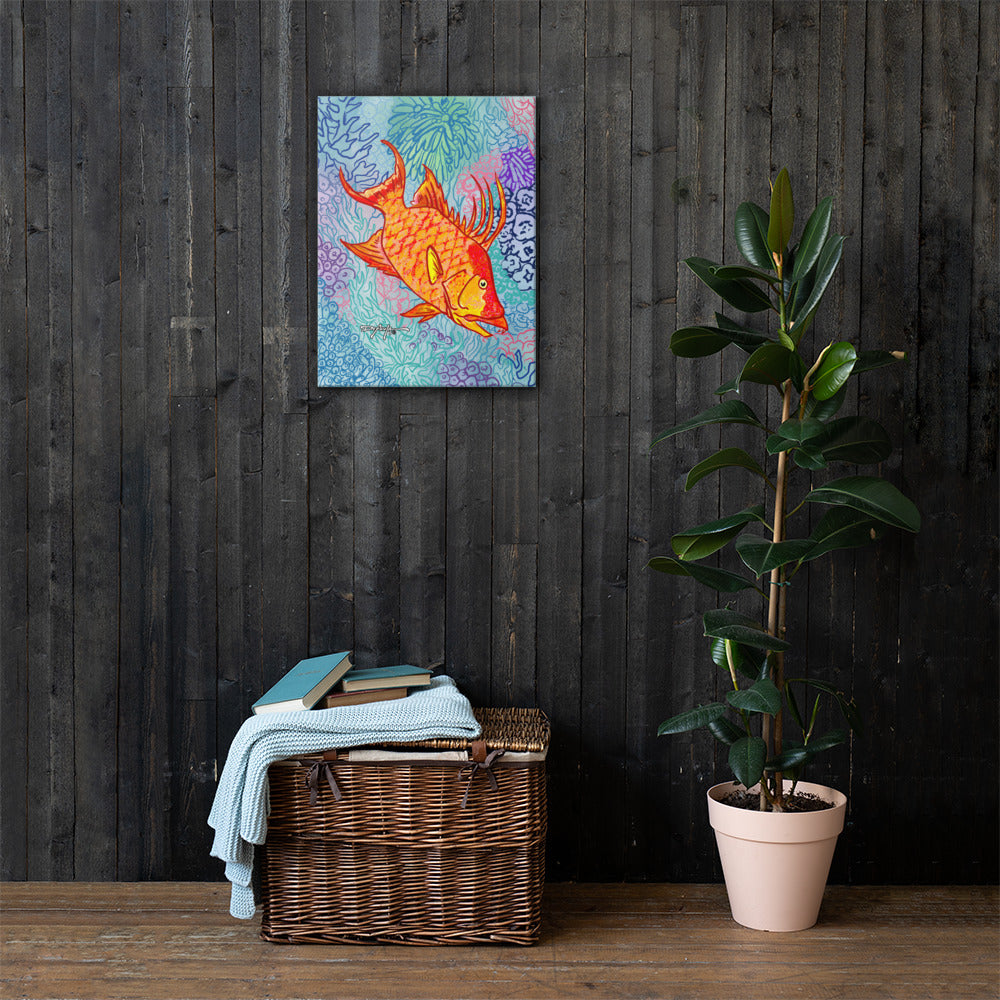 Sapphire Reef Hogfish Hog Snapper Fine Fish Art Canvas Print 18" x 24"