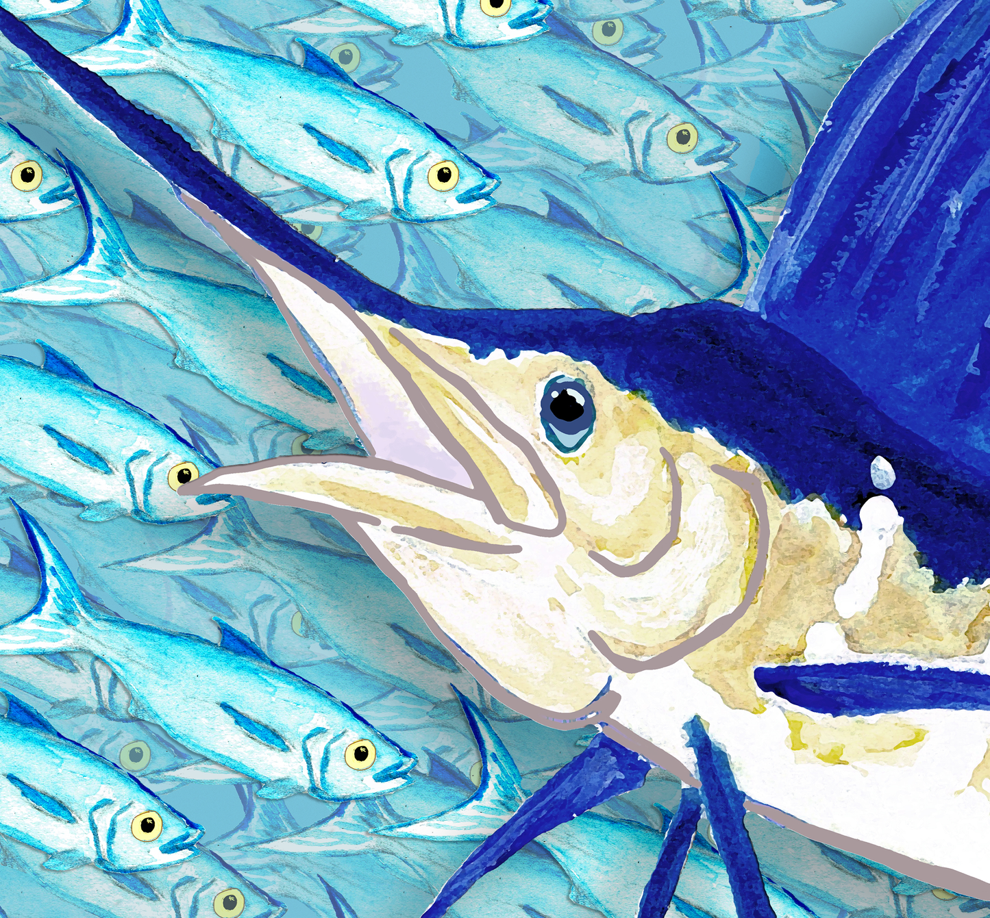 Sailfish in front of a Bait ball Fine Fish Art Canvas Print 18" x 24"
