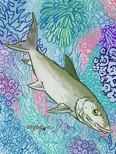 Sapphire Reef Bonefish Fine Fish Art Canvas Print