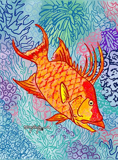 Sapphire Reef Hogfish Hog Snapper Fine Fish Art Canvas Print 18" x 24"