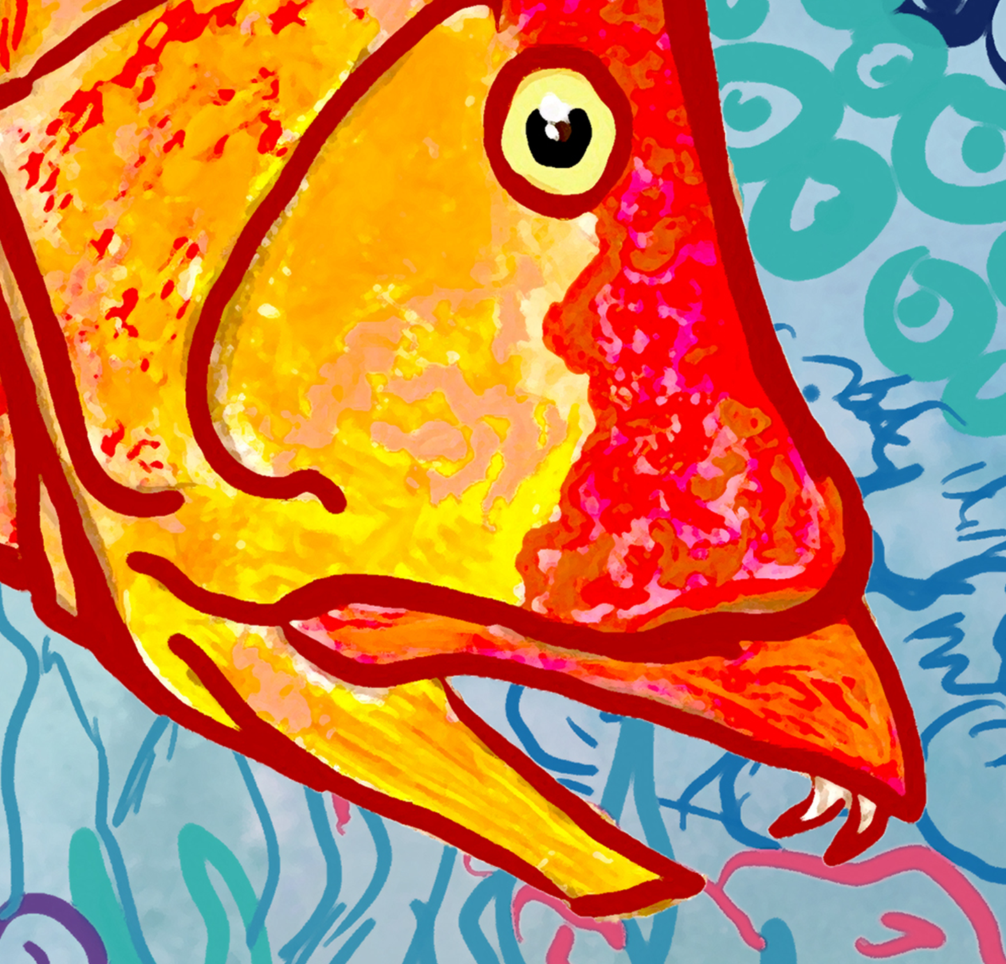 Sapphire Reef Hogfish Hog Snapper Fine Fish Art Canvas Print 18" x 24"