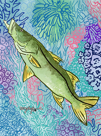 Sapphire Reef Snook Fine Fish Art Canvas Print 18" x 24"