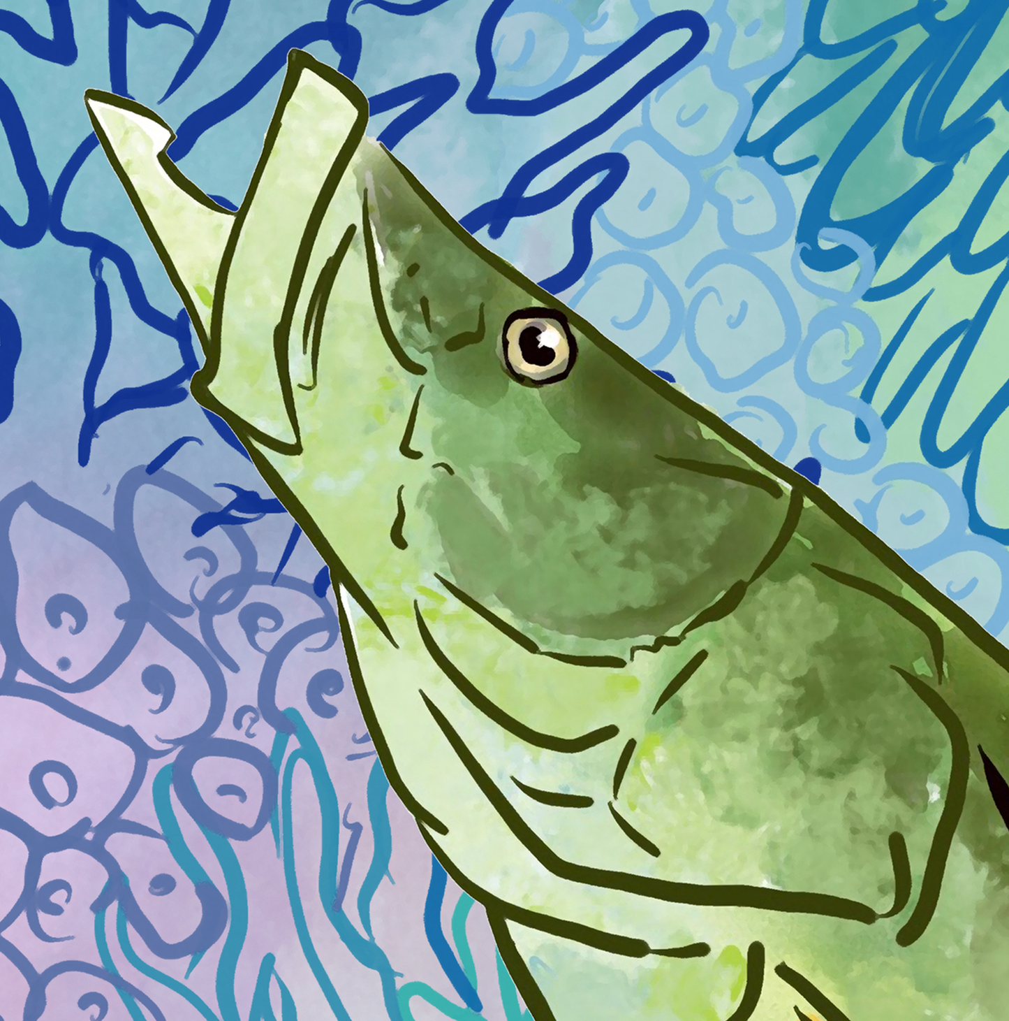 Sapphire Reef Snook Fine Fish Art Canvas Print 18" x 24"