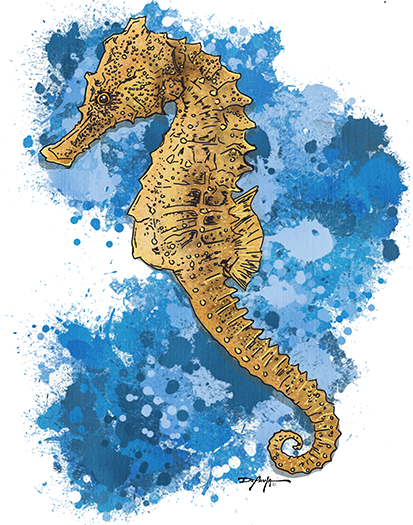 Seahorse Fine Coastal Art Expressionism Canvas Print 18" x 24"