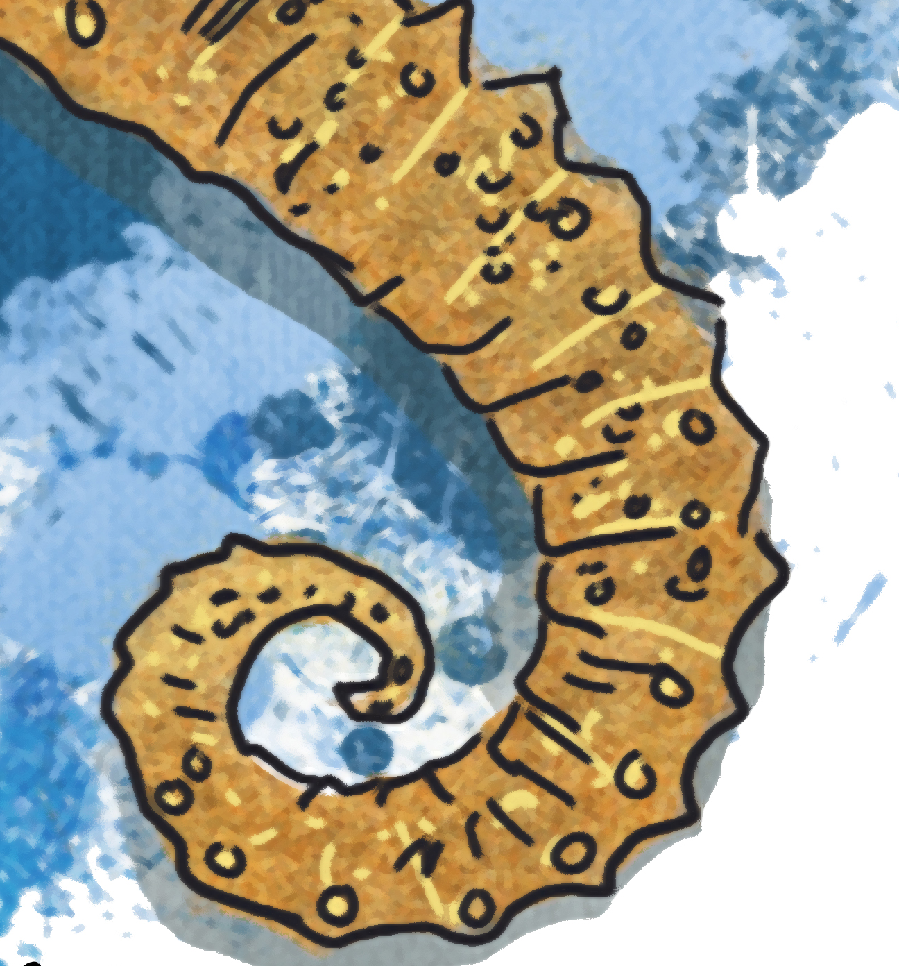 Seahorse Fine Coastal Art Expressionism Canvas Print 18" x 24"