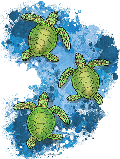 Hatchling Sea Turtles Expressionism Fine Coastal Art Canvas Print 18" x 24"