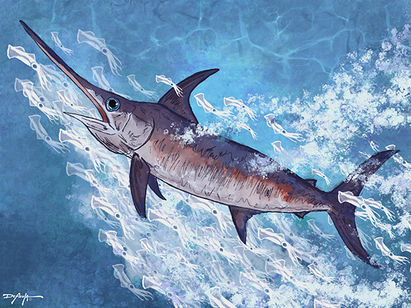 Swordfish Fine Art Canvas 18" x 24"