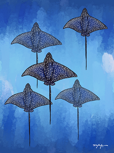 A Fever of Spotted Eagle Rays Fine Art Canvas Print 18 x 24"