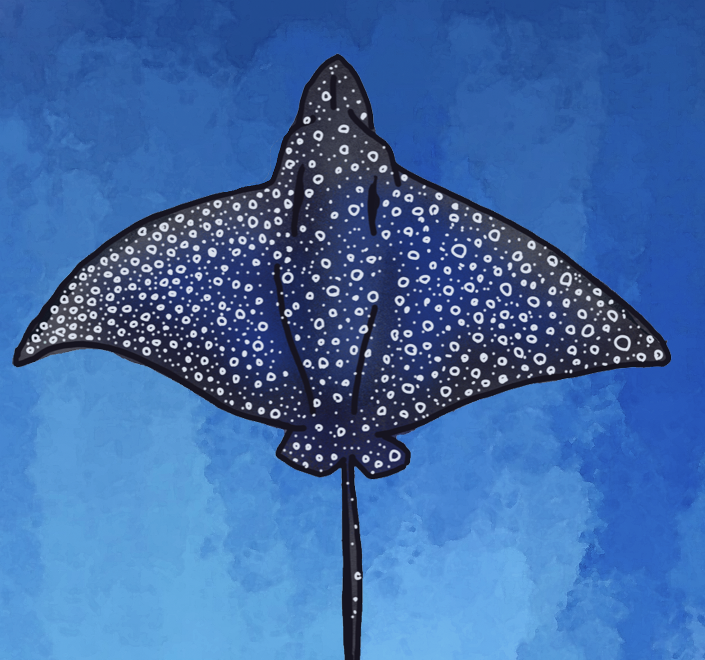 A Fever of Spotted Eagle Rays Fine Art Canvas Print 18 x 24"