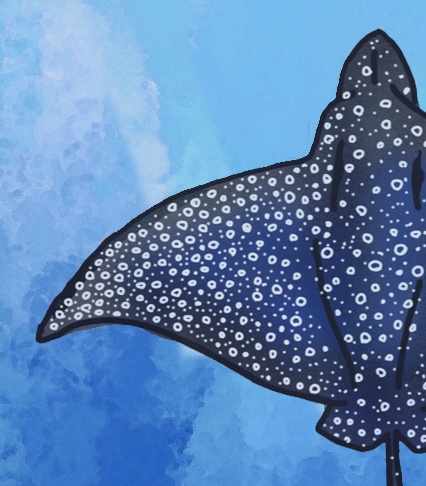 A Fever of Spotted Eagle Rays Fine Art Canvas Print 18 x 24"