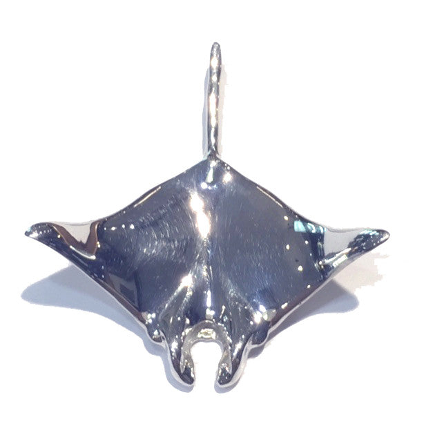 Devil Ray or Manta Ray