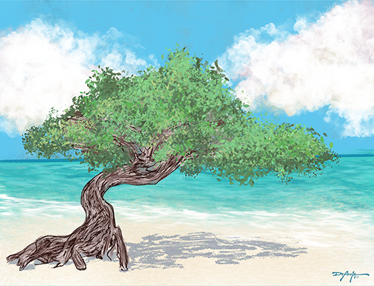The Aruban Soul of the Fototi Tree