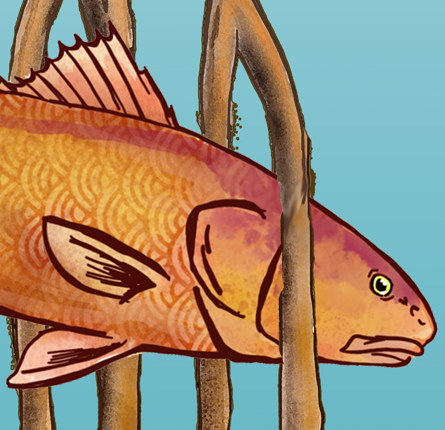 Redfish in the Mangroves Fine Art Canvas Print 18" x 24"
