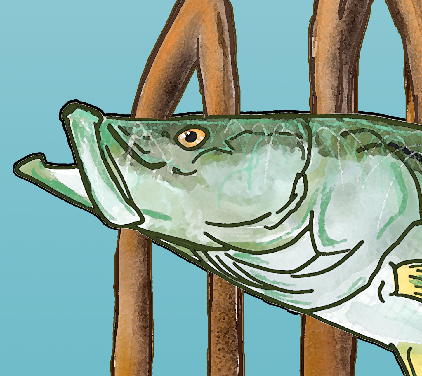 Snook in the Mangroves Fine Fish Art Canvas Print 18" x 24"